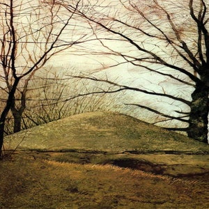 May include: An artistic painting of a landscape featuring a mound-like structure in the center, surrounded by bare trees. The color palette is dominated by earthy tones of brown, beige, and gray, creating a serene and naturalistic scene.