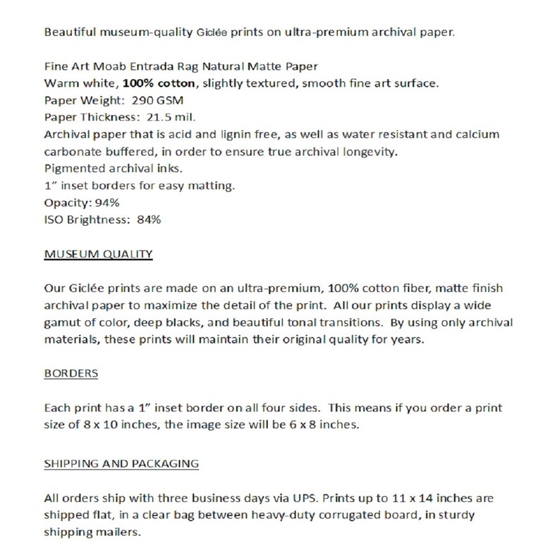 Puede incluir: Papel Fine Art Moab Entrada Rag Natural Mate, un blanco c&aacute;lido, 100% algod&oacute;n, ligeramente texturizado, superficie lisa de arte fino. Peso del papel: 290 g/m&sup2;, grosor del papel: 21,5 mil. Libre de &aacute;cido y lignina, resistente al agua y tamponado con carbonato de calcio. Tintas de archivo pigmentadas. Bordes empotrados de 1" para un f&aacute;cil enmarcado. Opacidad: 94%, Brillo ISO: 84%.