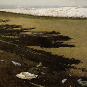 Andrew Wyeth: &quot;Raven’s Grove&quot;, Extremely Rare New Bookplate Print, Painting Circa 1985. Wyeth Art; Wyeth Art Print; Landscapes