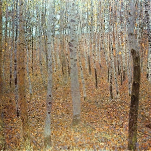 May include: An autumnal forest scene with numerous slender, light-colored tree trunks rising from a bed of fallen brown leaves. The upper portion of the image shows hints of yellow foliage, suggesting the season's transition.