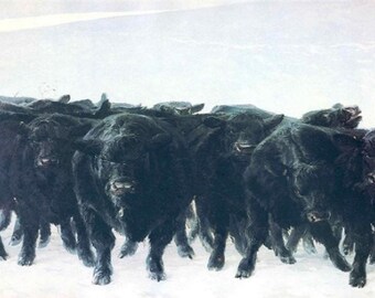 Jamie Wyeth: “Angus”, lámina de ex libris vintage extremadamente rara, pintura circa 1974. Arte de Wyeth; lámina de Wyeth; arte estadounidense.