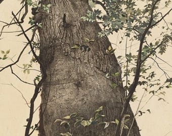 Andrew Wyeth: &quot;The Oak&quot;, Extremely Rare Original Full-Page Bookplate Print, Painting Circa 1944. Wyeth Art; Wyeth Print; Americana Art