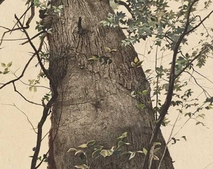 Andrew Wyeth Dry Brush and Pencil Drawings Fogg Art Museum Catalog