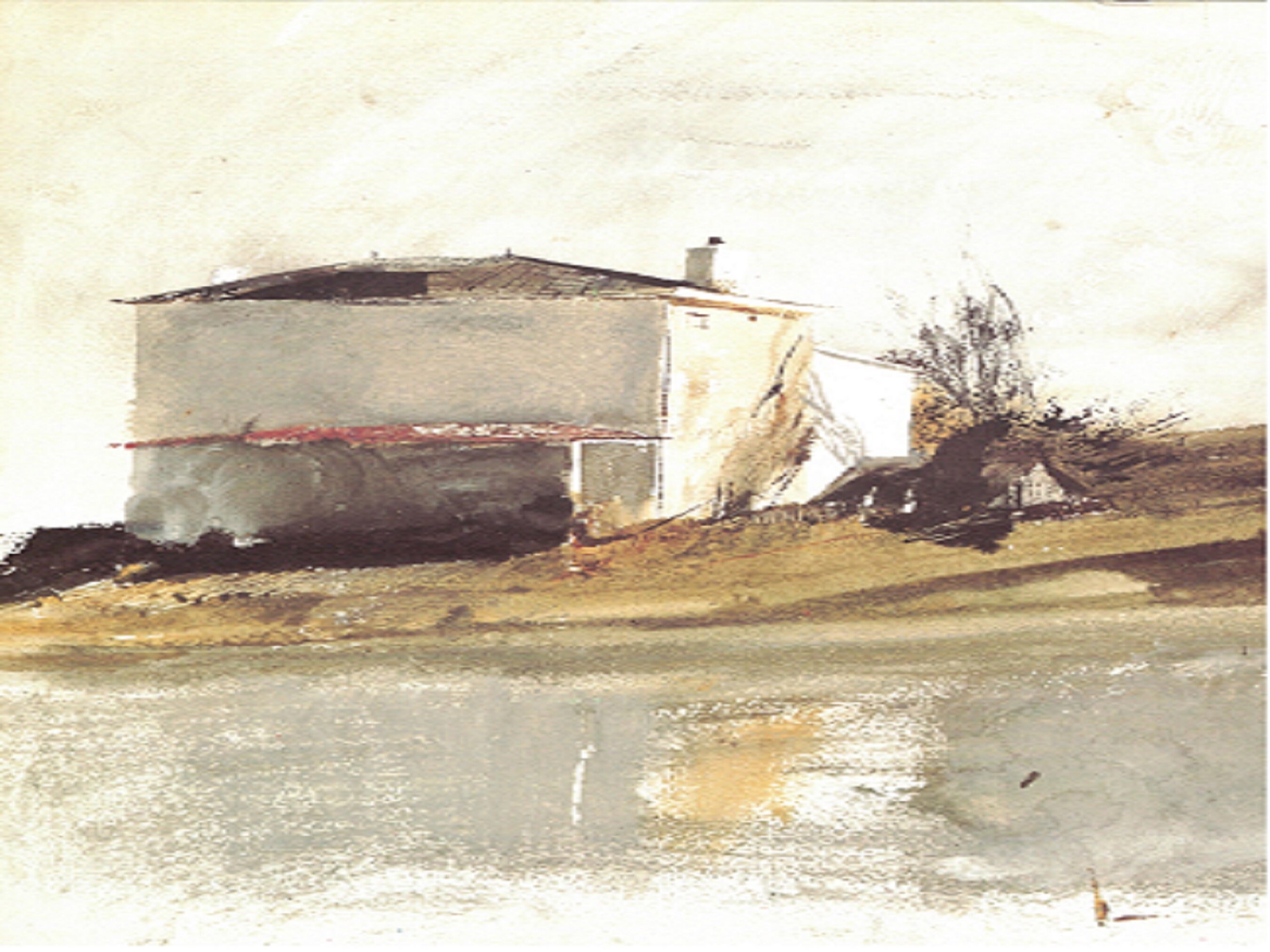 Andrew Wyeth: "From The South", Very Rare Vintage Full Page Bookplate Print, Painting Circa 1975