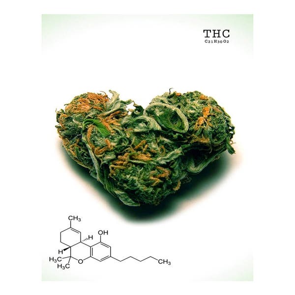 THC (Tetrahydrocannabinol) molecule art poster print - 12x8 inches (30cm x 20cm) - Superb quality
