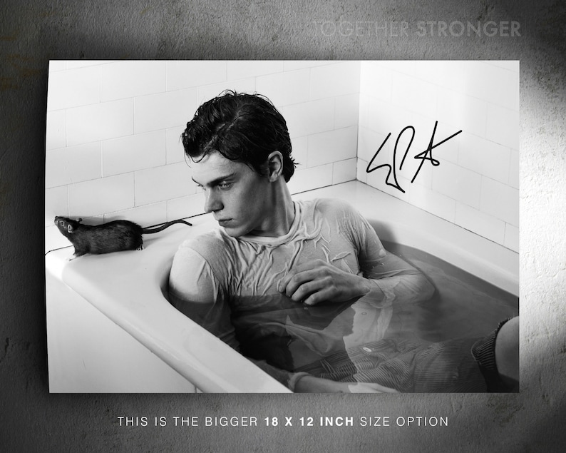 Evan Peters pre signed photo print poster - 12x8 inches (30cm x 20cm) - Superb quality - N.0 1 image 3