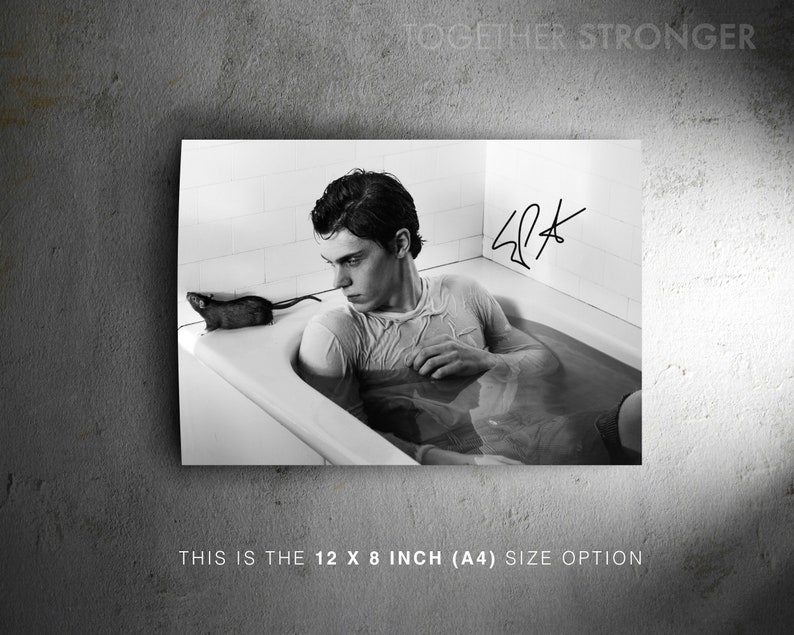 Evan Peters pre signed photo print poster - 12x8 inches (30cm x 20cm) - Superb quality - N.0 1 image 2