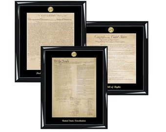 Law Office Wall Decor Attorney Graduate Gift Juris Doctor Constitution Bill of Rights Declaration Independence Graduation Gift Present Frame