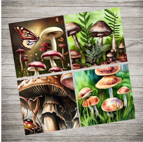 Mushrooms in Nature Set 5 Ceramic Coasters With Cork Bottom - Etsy
