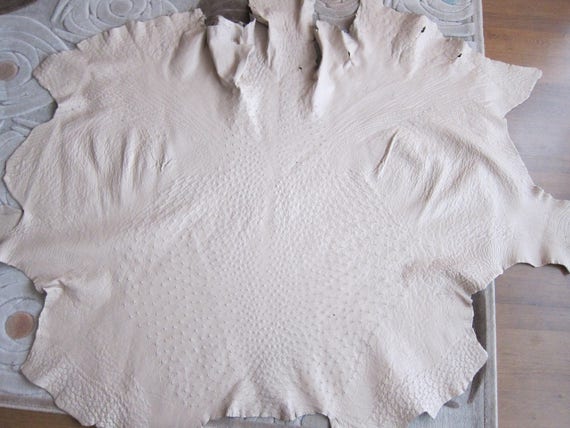 Ostrich Skin leather hide Genuine ostrich leather | Emballage Solide
Ostrich Skin leather hide Genuine ostrich leather | Emballage Solide
043b25