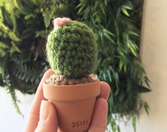 Mini Crochet Cactus / handmade / decor / cute / cactus / cacti / mini