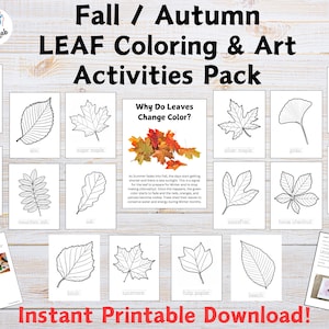 Puede incluir: Un paquete imprimible de páginas para colorear con diferentes tipos de hojas, incluyendo roble, arce y abedul. El paquete también incluye una página que explica por qué las hojas cambian de color en otoño.