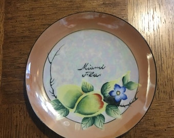 Miami Souvenir Plate, Miami, Florida, Lusterware, made in Japan, Vintage
