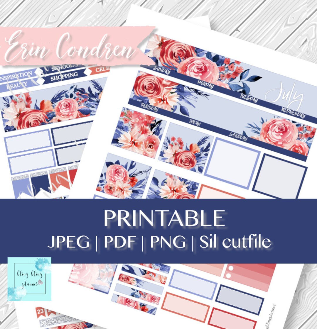 Erin Condren JULY MONTHLY KIT Printable, 4th of July Planner Stickers ...