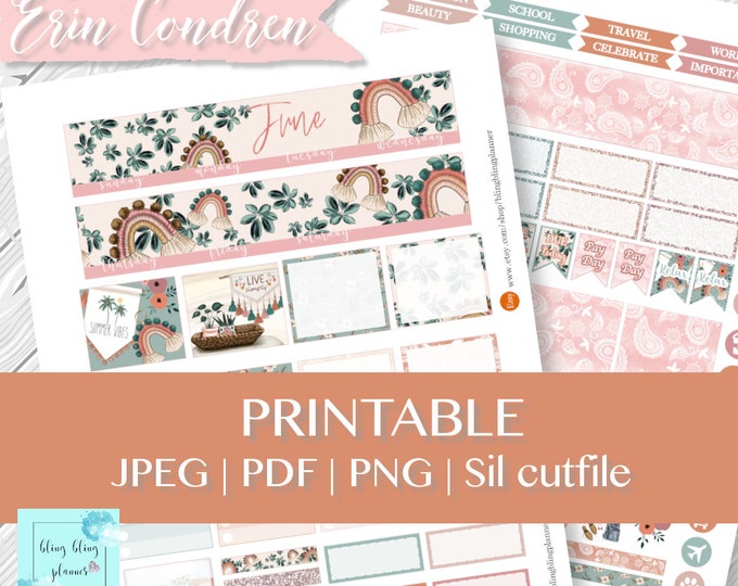 Happy Planner June Monthly Kit, June Happy Planner Printable Stickers ...