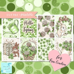 May include: A set of printable planner stickers featuring a green shamrock, a watering can, a bunny rabbit, a gift box, a basket of shamrocks, and the text "Hello Spring". The stickers are designed for Erin Condren planners.