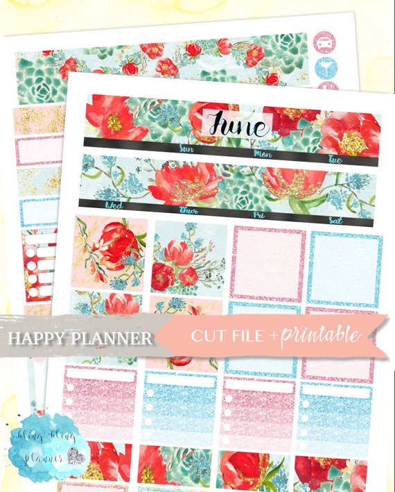 JUNE MONTHLY VIEW, Happy Planner Monthly Kit, Happy Planner Sticker, Happy Planner Kit, Summer Stickers, Digital Printable, Digital Stickers