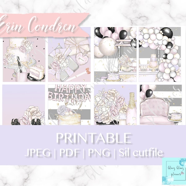BIRTHDAY PLANNER KIT printable, birthday girl planner sticker, celebration planner kit, printable sticker weekly, printable for Erin Condren