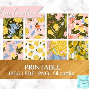 Puede incluir: Paquete de papel digital imprimible con nueve patrones diferentes con limones, flores y una mariquita sobre un fondo rosa y verde. El texto "Erin Condren" y "Printable JPEG | PDF | PNG | Sil cutfile" es visible en la parte superior e inferior de la imagen.