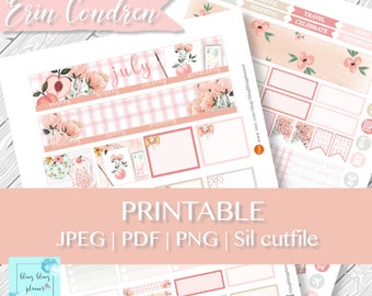 Kit imprimible mensual de julio de Erin Condren, vista mensual de julio, calcomanía imprimible de julio de Peach, calcomanía imprimible para planificador de julio, kit mensual de verano
