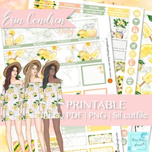 JULY MONTHLY Planner KIT Printable, Summer Monthly Kit, July monthly Erin Condren, July monthly printable, lemonade printable kit, july kit