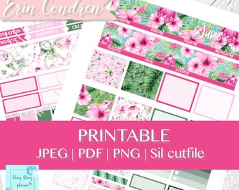 VISTA MENSUAL DE JUNIO, Kit mensual de verano, Etiqueta engomada del planificador imprimible de junio, Pegatinas mensuales de flores, Erin Condren de junio, imprimible floral de verano