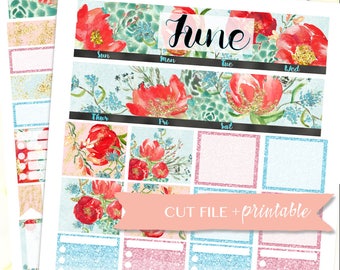VIEW MONTHLY de junio, Kit de planificador mensual, junio mensual etiqueta engomada, etiquetas engomadas florales de verano, verano para imprimir pegatinas, Kit de flor de junio
