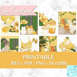 MANGO PRINTABLE PLANNER Stickers, Summer Planner kits printable, Fruit Planner stickers, Summer girl sticker, Erin condren printable weekly