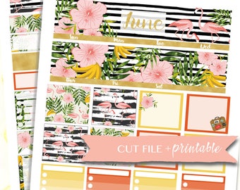Junio mes KIT, Kit de planificador mensual, etiqueta engomada del Flamingo, junio mensual etiqueta engomada, etiquetas engomadas del planificador de verano, verano pegatinas para imprimir, para imprimir