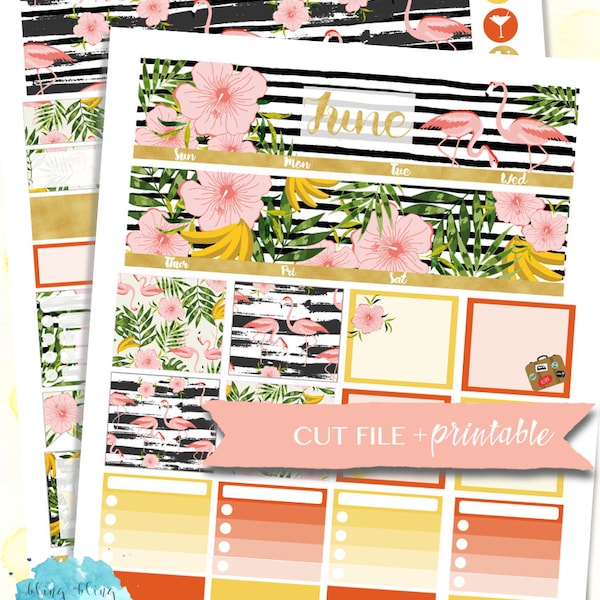 JUNE MONTHLY KIT, Monthly Planner Kit, Flamingo Sticker, June Monthly Sticker, Summer Planner Stickers, Summer Printable Stickers, Printable