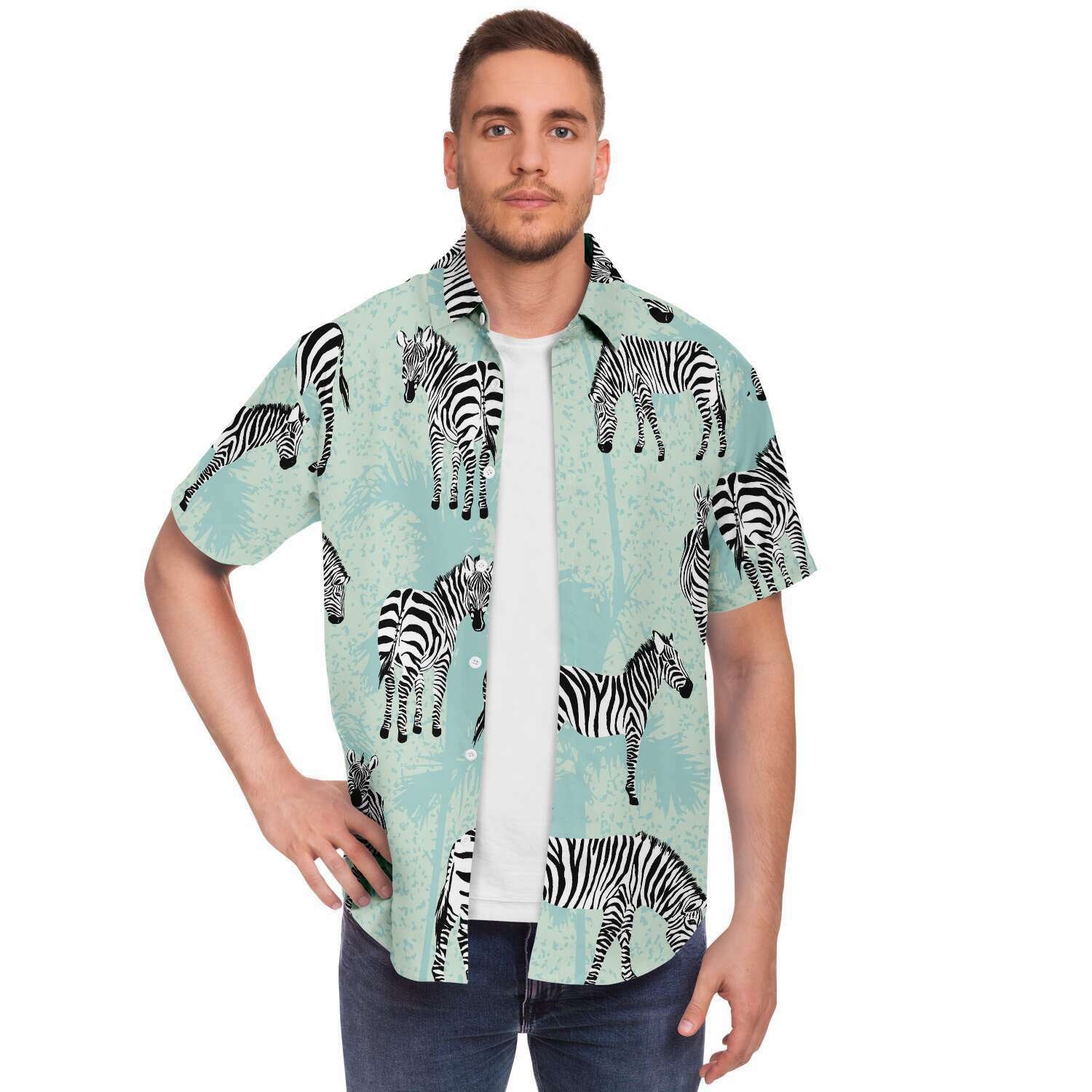 zebra button down
