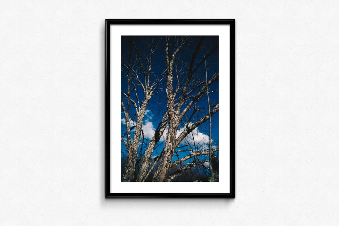 Catskills Mountains / New York / USA / Andes / New York State Etsy