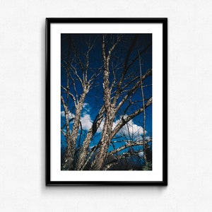 Catskills Mountains / New York / USA / Andes / New York State / Decoration / Photo Frame / Fine Art