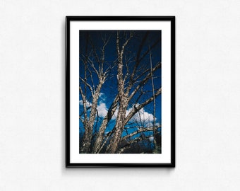 Catskills bergen / New York / USA / Andes / New York State / decoratie / Foto Frame / beeldende kunst