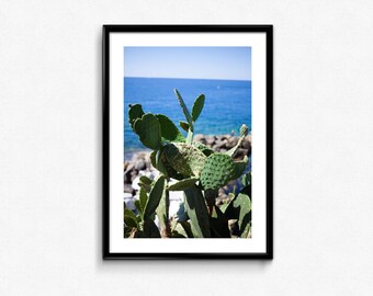 Italië / Cinque Terre / Cactus / Riomaggiore / fabriek / decoratie / Foto Frame / beeldende kunst