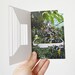 4 X Window Cards | Cut-out Greeting Card - Etsy
