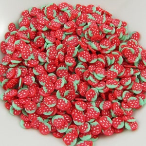 20g Fruit Fraise Polymère Argile Wafer Saupoudrer Résine Mix-in Shaker Cartes etc