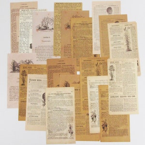 60pc Botanical Retro Scrapbook Papiers Cartes Journal Ephemera 160x84mm