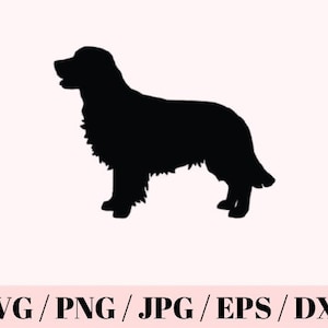Cavalier King Charles SVG Cut File, svg png jpg dxf psd Cricut Cut Files