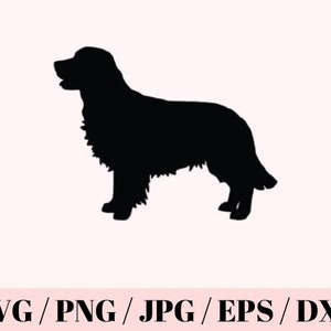 Puede incluir: Silueta negra de un perro de pie, mirando hacia la izquierda. El perro tiene un pelaje esponjoso y una cola larga. La imagen incluye el texto "SVG / PNG / JPG / EPS / DXF" en la parte inferior.