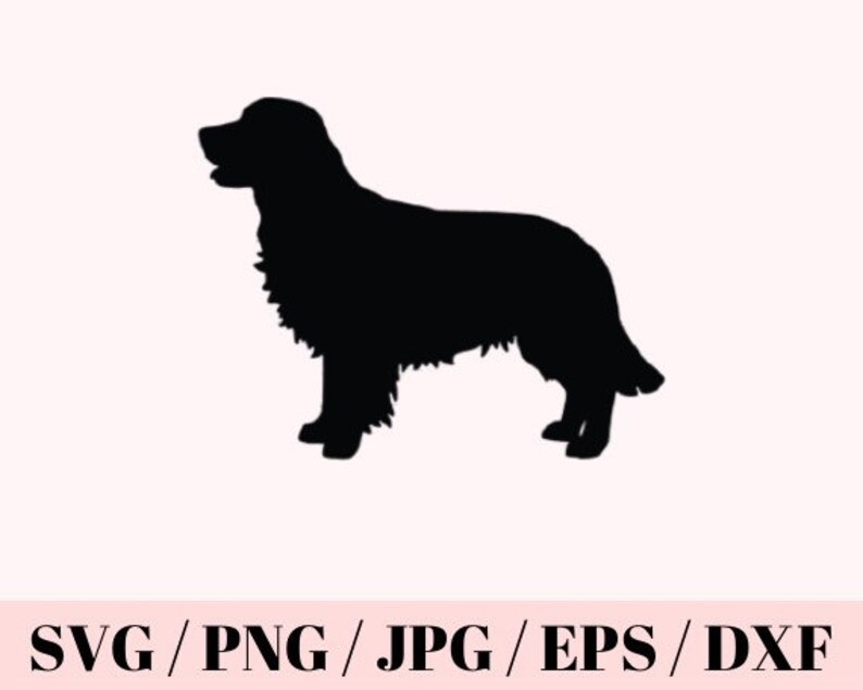Puede incluir: Silueta negra de un perro de pie, mirando hacia la izquierda. El perro tiene un pelaje esponjoso y una cola larga. La imagen incluye el texto "SVG / PNG / JPG / EPS / DXF" en la parte inferior.