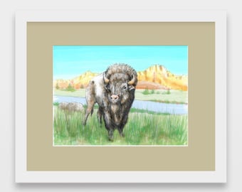 Buffalo - Yellow Stone Illustration, print, sketch, graphite, drawing, pencil, animal, buffalo, wild, decor, home, office, art, artwork