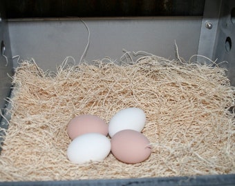 Duncan's Poultry 13x13  Excelsior Nesting Pads - 10 Pack - Nice Thick Nest Pads - Keeps Eggs Super Clean and MADE IN USA!!