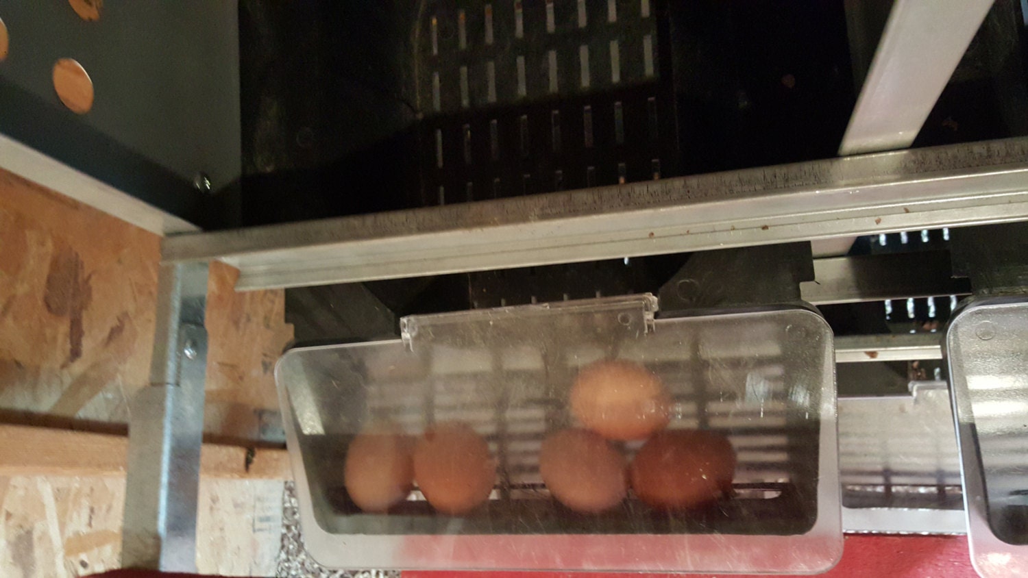 Duncan's Poultry Roll Out Hen Nest Bottom Tray – 10-Pack With Covers, Chicken Nesting Pad