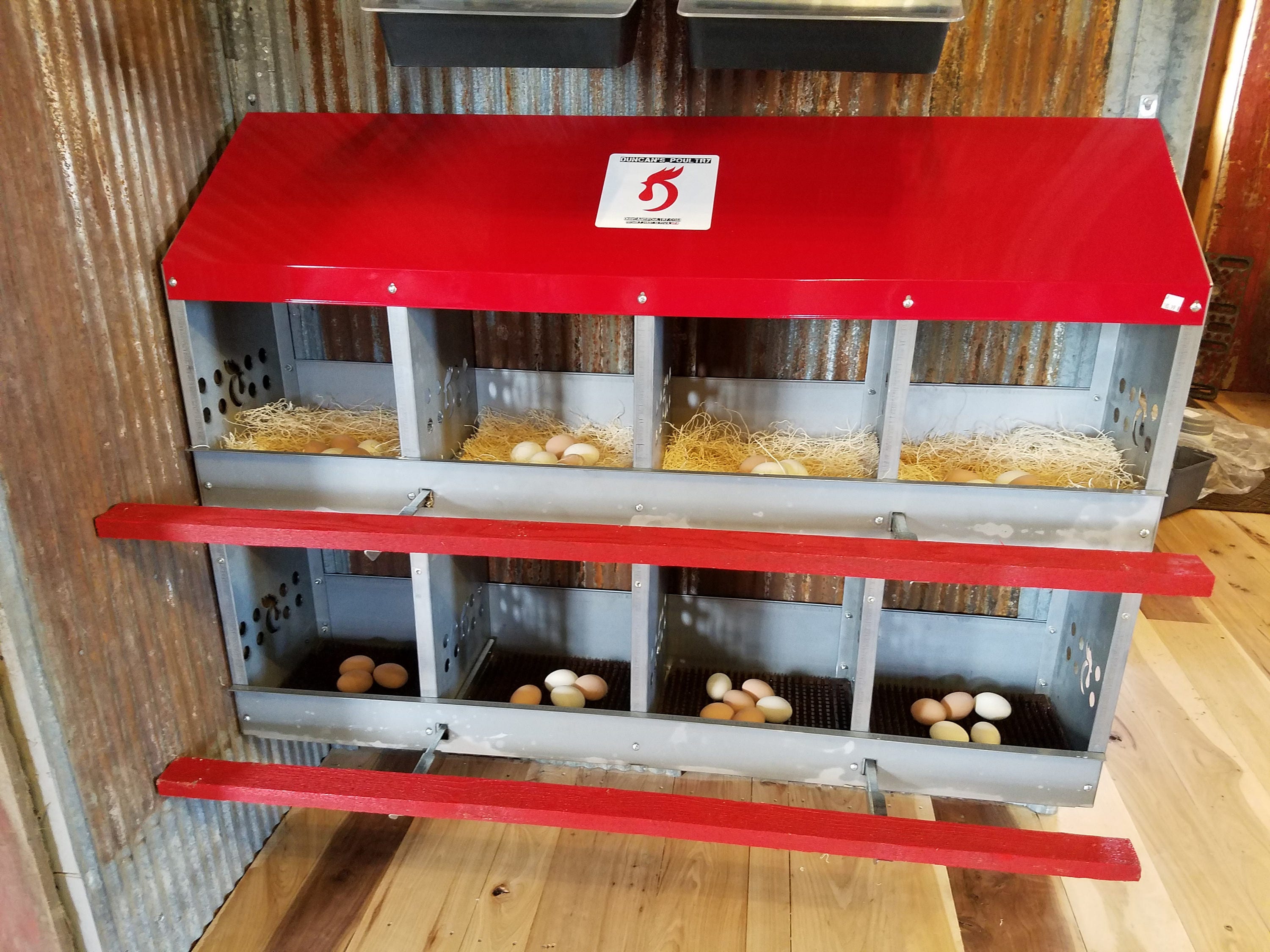 Duncan's Poultry 8 Hole Chicken Nest - Made In the USA!!!   Highest Quality. Your hens will love it!
