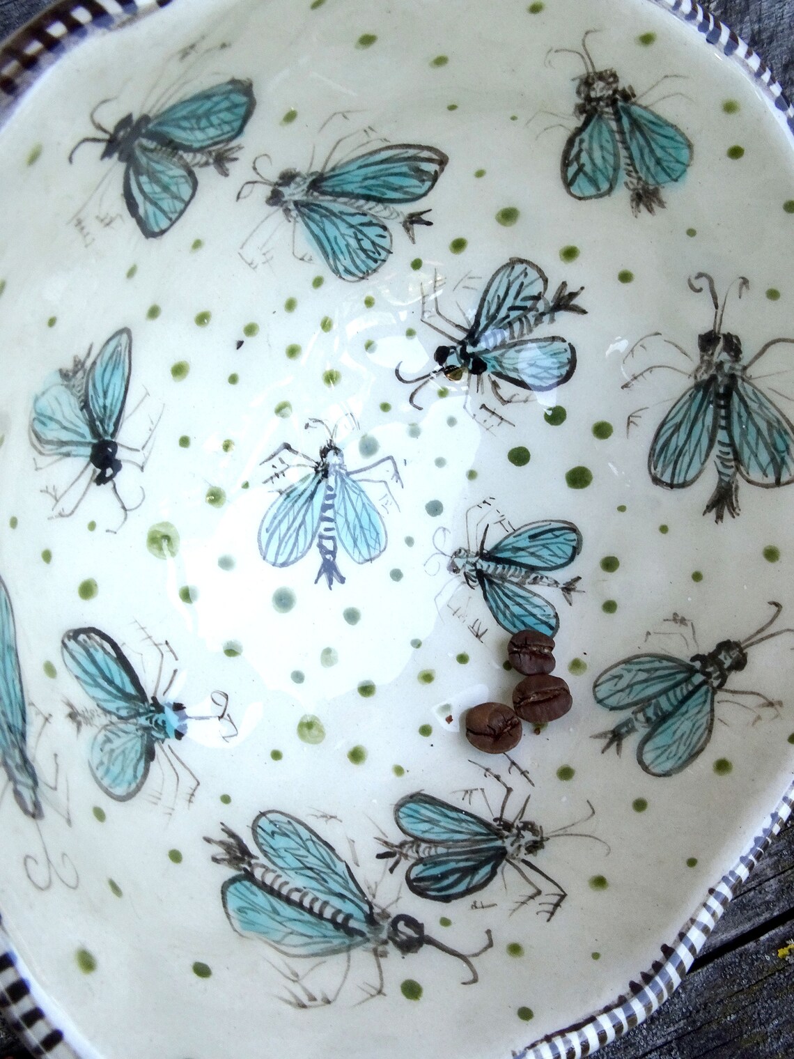 Insect Bowl Hand Made Ceramic Pottery Painting Pottery dish Etsy