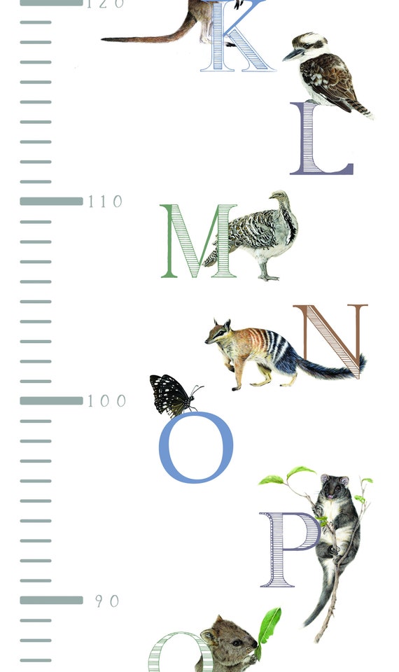 Animal Height Chart