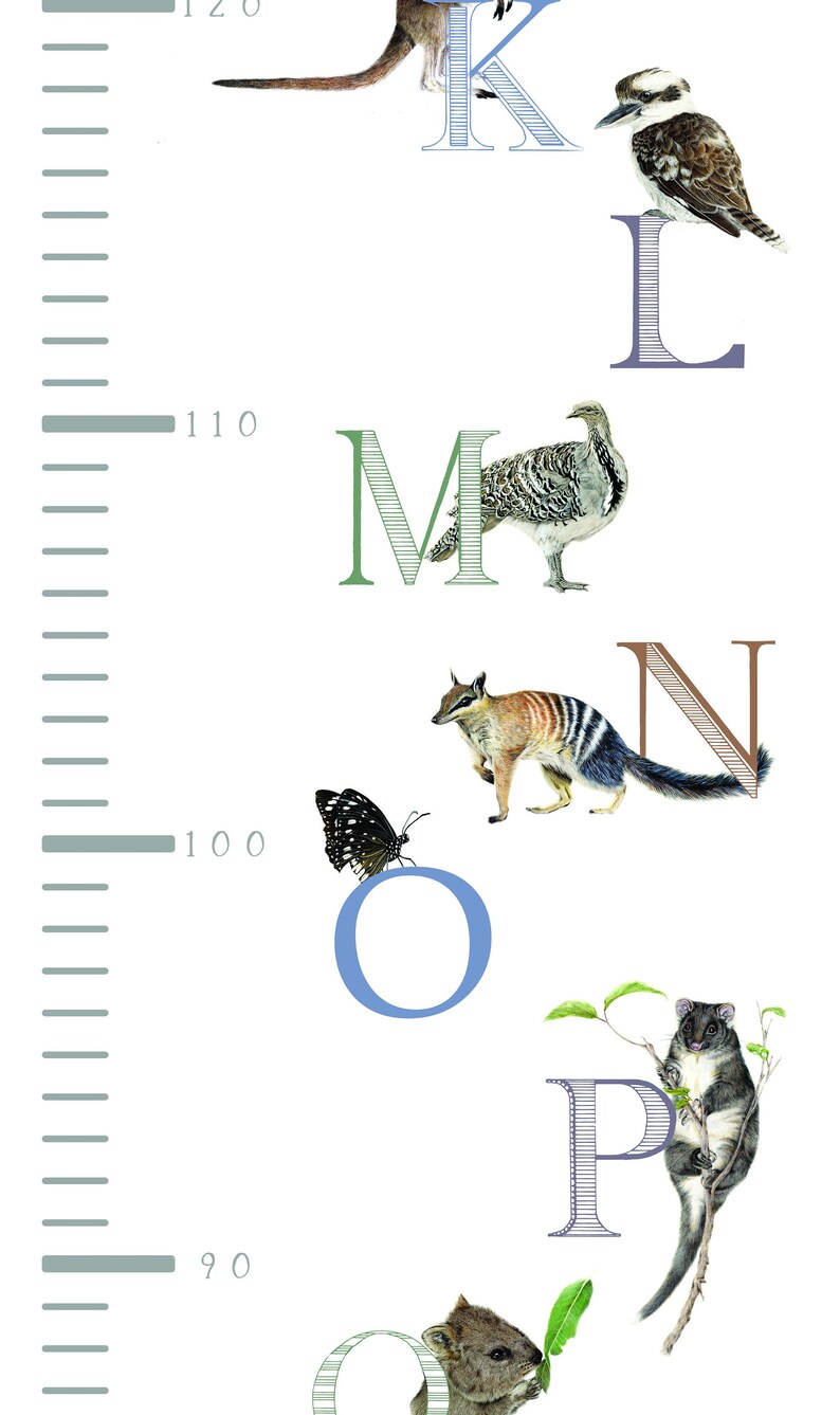 Australian Animal Height Chart Etsy