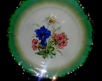 Vintage German Porcelain Cookie Plate~Collectors Plate~Presentation Plate~Johann Haviland Porcelain~ Delicate Flowers~Valentines Gift~Retro~