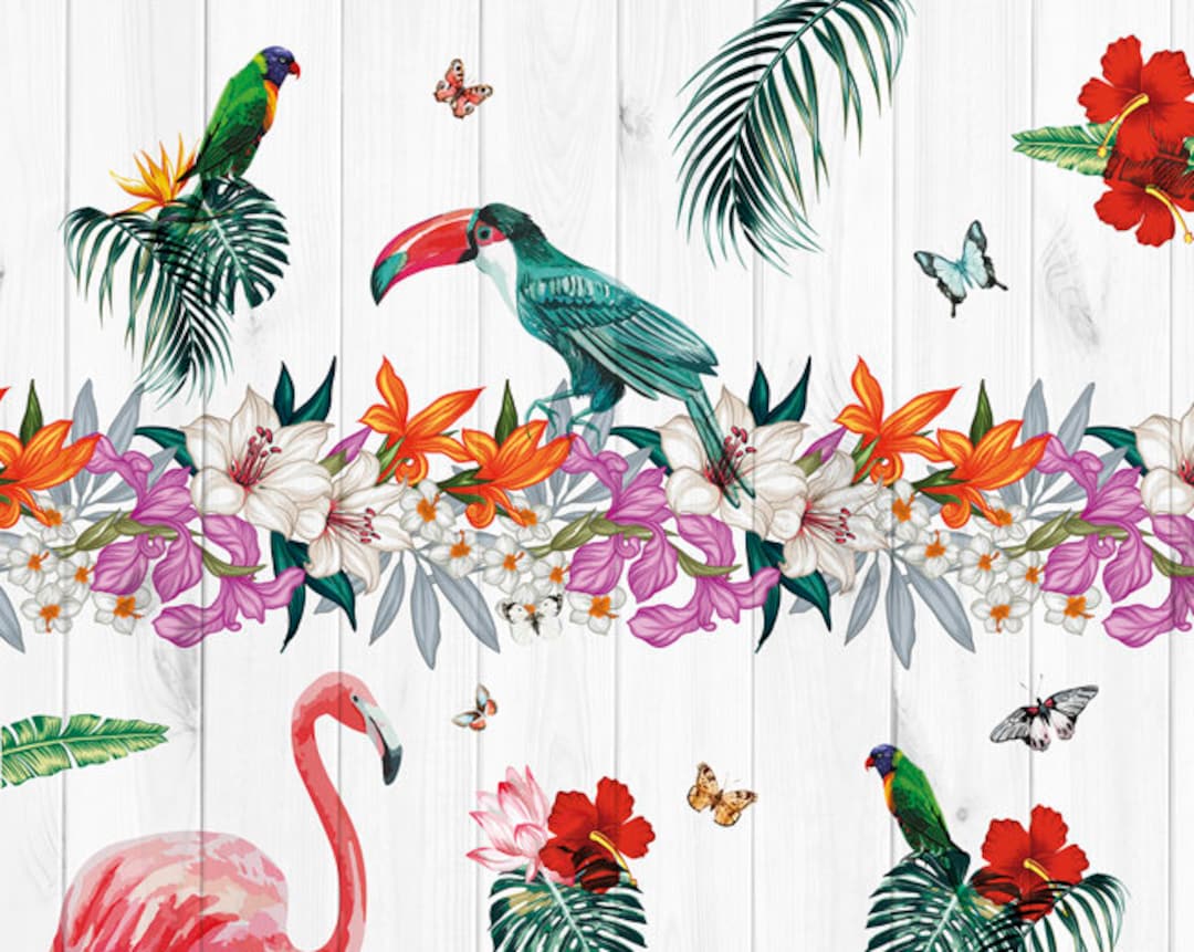 Tropical Paradise Birds Photo Wallpaper Mural for Bedroom, Exotic ...
